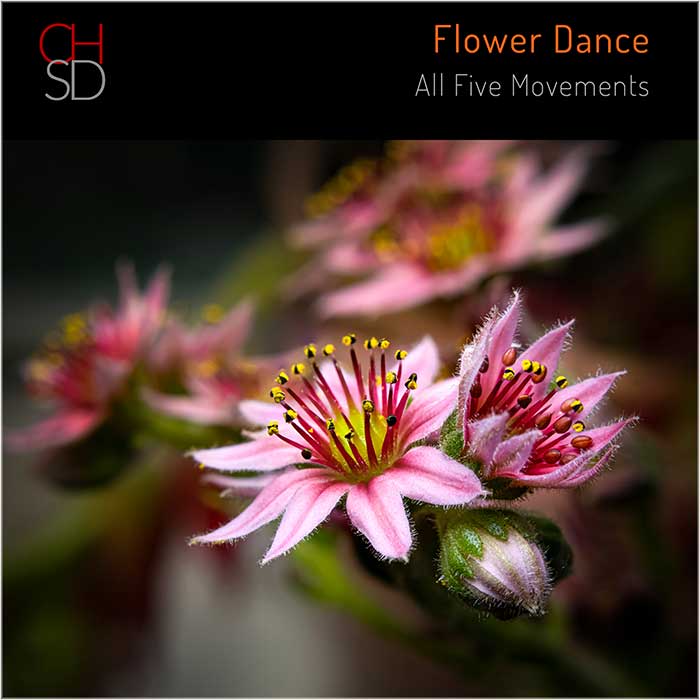Impermanent Flower cover - Craig House Sound Design