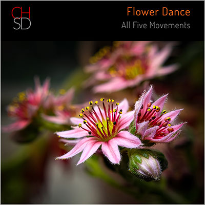 Music by Craig House Sound Design. No ai